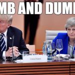 Donald Trump & Theresa May | DUMB AND DUMBER | image tagged in donald trump  theresa may | made w/ Imgflip meme maker