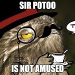 Sir Potoo is not amused | SIR POTOO; IS NOT AMUSED | image tagged in sir potoo is not amused | made w/ Imgflip meme maker