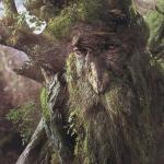 Treebeard the Ent