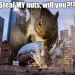 angry squirrel | Steal MY nuts, will you?!? | image tagged in angry squirrel | made w/ Imgflip meme maker