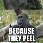 Bad Pun Gorilla | WHY DO BANANAS NEED SUNSCREEN? BECAUSE THEY PEEL | image tagged in bad pun gorilla | made w/ Imgflip meme maker