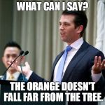 Don Jr. Lies too! | WHAT CAN I SAY? THE ORANGE DOESN'T FALL FAR FROM THE TREE. | image tagged in don jr,lies,russia,orange | made w/ Imgflip meme maker