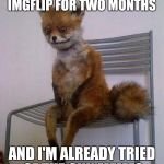 Fox Tired of CNN Memes  | I HAVEN'T BEEN ON IMGFLIP FOR TWO MONTHS; AND I'M ALREADY TRIED OF THE CNN MEMES | image tagged in tired fox,funny,funny memes,meme,cnn,memes | made w/ Imgflip meme maker