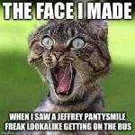 Shocked Cat | THE FACE I MADE; WHEN I SAW A JEFFREY PANTYSMILE FREAK LOOKALIKE GETTING ON THE BUS | image tagged in shocked cat | made w/ Imgflip meme maker