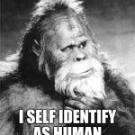 Bigfoot | I SELF IDENTIFY AS HUMAN. | image tagged in bigfoot | made w/ Imgflip meme maker