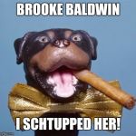 I keed,I keed | BROOKE BALDWIN; I SCHTUPPED HER! | image tagged in triumph the insult comic dog,cnn,fake news | made w/ Imgflip meme maker