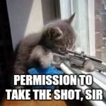 Sniper Cat | PERMISSION TO TAKE THE SHOT, SIR | image tagged in sniper cat | made w/ Imgflip meme maker