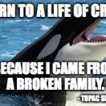 orca | I TURN TO A LIFE OF CRIME; BECAUSE I CAME FROM A BROKEN FAMILY. - TUPAC SHAKUR | image tagged in orca | made w/ Imgflip meme maker