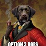 Indeed Dog | INDEED. OPTION 3 DOES SOUND FAVOURABLE. | image tagged in indeed dog | made w/ Imgflip meme maker