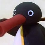 Pingu Noot