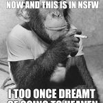 Sorry | YOU'RE READING THIS RIGHT NOW AND THIS IS IN NSFW; I TOO ONCE DREAMT OF GOING TO HEAVEN | image tagged in smoking chimpanzee | made w/ Imgflip meme maker