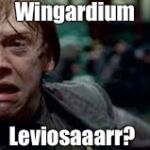 Wingardium Leviosa? | Wingardium; Leviosaaarr? | image tagged in harry potter meme,ron weasley,harry potter,scary harry,hermione granger,hermione | made w/ Imgflip meme maker