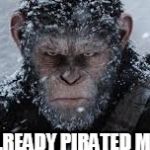 War for the Planet of the Apes | YOU'VE ALREADY PIRATED MY MOVIE? | image tagged in war for the planet of the apes | made w/ Imgflip meme maker