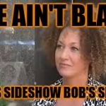 Rachel Dolezal | SHE AIN'T BLACK; SHE'S SIDESHOW BOB'S SISTER | image tagged in rachel dolezal | made w/ Imgflip meme maker
