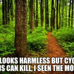 forest path | IT LOOKS HARMLESS BUT CYCLE PATHS CAN KILL, I SEEN THE MOVIES. | image tagged in forest path | made w/ Imgflip meme maker