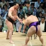 Hakuho_comeatmebro meme