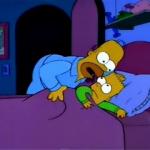 Homer Simpson I don't mean to alarm you
