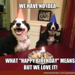 Dogs Birthday Wish