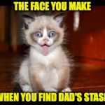 That Face | THE FACE YOU MAKE; WHEN YOU FIND DAD'S STASH | image tagged in goofy kitten | made w/ Imgflip meme maker