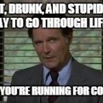 I approve this message. | FAT, DRUNK, AND STUPID IS NO WAY TO GO THROUGH LIFE, SON. UNLESS YOU'RE RUNNING FOR CONGRESS | image tagged in dean wormer,congress | made w/ Imgflip meme maker