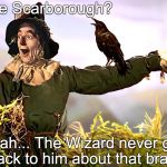 SCARECROW - OZ | Joe Scarborough? Nah... The Wizard never got back to him about that brain!! | image tagged in scarecrow - oz | made w/ Imgflip meme maker