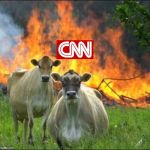 Fake "moos" | WE DID THIS | image tagged in memes,evil cows,cnn,anti cnn month,cnn sucks,cnn vs the internet | made w/ Imgflip meme maker