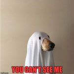 Ghost Doge | YOU CAN'T SEE ME | image tagged in ghost doge | made w/ Imgflip meme maker