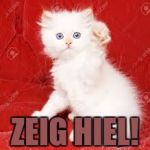 Nazi Kitty | ZEIG HIEL! | image tagged in nazi kitty | made w/ Imgflip meme maker