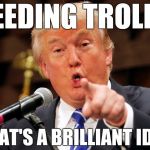 Trumpy Sarcasm | FEEDING TROLLS; THAT'S A BRILLIANT IDEA | image tagged in trump you,memes,funny,sarcasm,troll,feed | made w/ Imgflip meme maker