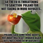 But Thats None Of My Business Meme | SO THE EU IS THREATENING TO SANCTION POLAND FOR NOT TAKING IN MORE REFUGEES... POLAND SAID SOMETHING ABOUT NOT WANTING TO GET INVADED AGAIN | image tagged in memes,but thats none of my business,kermit the frog | made w/ Imgflip meme maker
