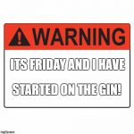 Warning Label | ITS FRIDAY AND I HAVE; STARTED ON THE GIN! | image tagged in warning label | made w/ Imgflip meme maker