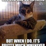 The Most Interesting Cat In The World Meme Generator - Imgflip