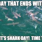 Shark Frenzy!  | A DAY THAT ENDS WITH Y; MEANS IT'S SHARK DAY!  TIME TO FEED! | image tagged in shark frenzy | made w/ Imgflip meme maker