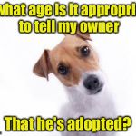 You were adopted by the dog | At what age is it appropriate to tell my owner; That he's adopted? | image tagged in confused dog,memes,adopted,dog | made w/ Imgflip meme maker