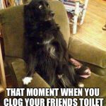 terrified dog | THAT MOMENT WHEN YOU CLOG YOUR FRIENDS TOILET | image tagged in terrified dog | made w/ Imgflip meme maker