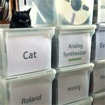 Organized Cat
