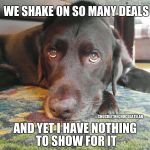 We shake on so many deals, and yet I have nothing to show for it | WE SHAKE ON SO MANY DEALS; #CHUCKIETHECHOCOLATELAB; AND YET I HAVE NOTHING TO SHOW FOR IT | image tagged in chuckie the chocolate lab,funny,dogs,memes,shake,nothing to show for it | made w/ Imgflip meme maker