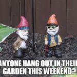 Garden Gnomes | ANYONE HANG OUT IN THEIR GARDEN THIS WEEKEND? | image tagged in garden gnomes | made w/ Imgflip meme maker