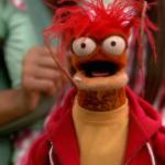 Pepe the King Prawn