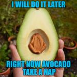 avocado | I WILL DO IT LATER; RIGHT NOW AVOCADO TAKE A NAP | image tagged in avocado | made w/ Imgflip meme maker