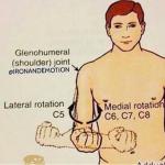 Vegan protein deficiency 