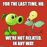 Seriously, stop asking us. | FOR THE LAST TIME, NO. WE'RE NOT RELATED. IN ANY WAY. | image tagged in peashooter and bellsprout,memes | made w/ Imgflip meme maker