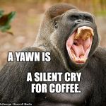 I'm not Yawning | A YAWN IS; A SILENT CRY 
FOR COFFEE. | image tagged in i'm not yawning | made w/ Imgflip meme maker
