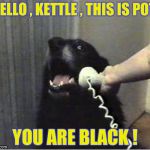 This happens 'round these parts a lot , too Huckleberries | HELLO , KETTLE , THIS IS POT; YOU ARE BLACK ! | image tagged in it's for you,overly accusatory donald sutherland,dog,phone | made w/ Imgflip meme maker