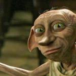 I'm In Love With Your Dobby meme