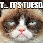 not funny | YAY... IT'S TUESDAY | image tagged in not funny | made w/ Imgflip meme maker