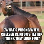 horses ass | "WHAT'S WRONG WITH CHELSEA CLINTON'S TEETH? I THINK THEY LOOK FINE" | image tagged in horses ass | made w/ Imgflip meme maker
