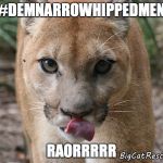 Cougar Lick | #DEMNARROWHIPPEDMEN; RAORRRRR | image tagged in cougar lick | made w/ Imgflip meme maker