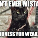 cat filing nails | DON'T EVER MISTAKE; MY KINDNESS FOR WEAKNESS... | image tagged in cat filing nails | made w/ Imgflip meme maker