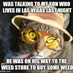 Viva Las Vegas | WAS TALKING TO MY SON WHO LIVES IN LAS VEGAS LAST NIGHT; HE WAS ON HIS WAY TO THE WEED STORE TO BUY SOME WEED | image tagged in fear and loathing in las vegas cat country,legalization,funny cat memes,meme,las vegas | made w/ Imgflip meme maker